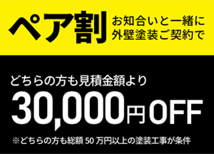 ペア割20,000円OFF