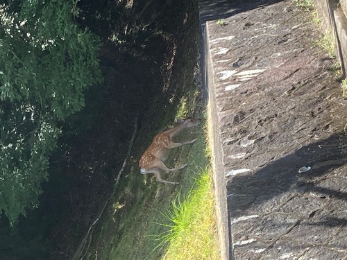 天然の動物園　２１０８０３2