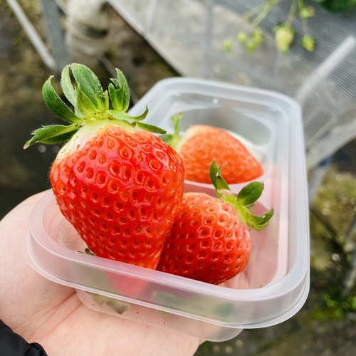 北九州市の屋根 外壁塗装業者ブログ 1 ペイントホームズ八幡店