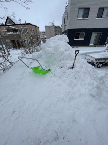 除雪