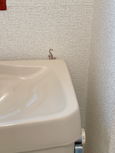 ヤモリ2