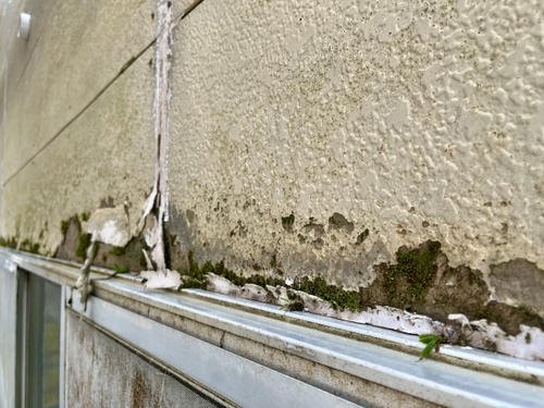 屋根・外壁の劣化を防ぐ！白石市の塗装で長持ちする家作り　2408282